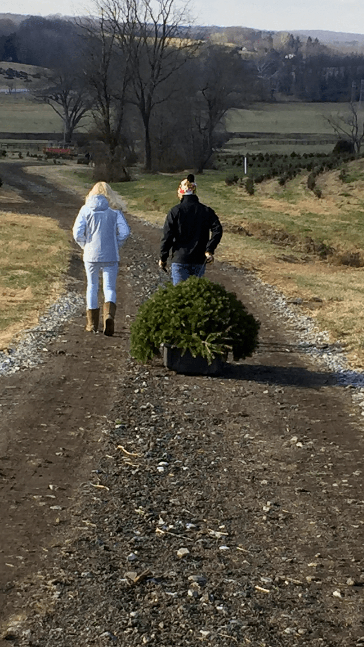 When Pictures Speak 1000&nbsp;Words